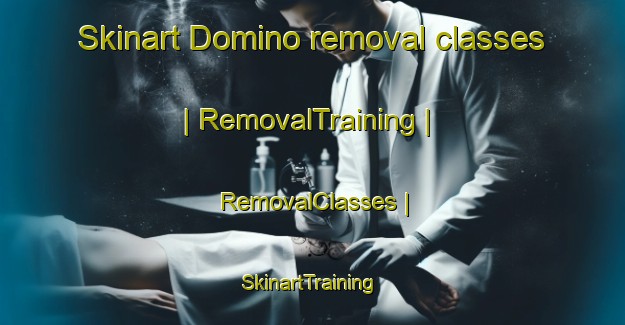 Skinart Domino removal classes | RemovalTraining | RemovalClasses | SkinartTraining-France